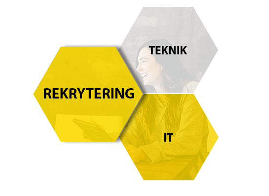 it-rekrytering